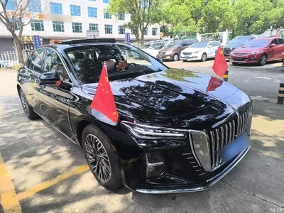 2025 Hongqi H5 2.0T Automatic Flag Celebration 500,000 Units Anniversary Edition, фото 4, лот 10289199