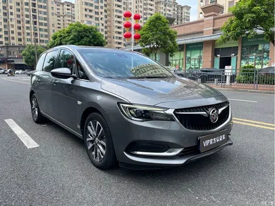 2019 Buick GL6 18T 6-seat Connected Premium China VI, фото 3, лот 10391364