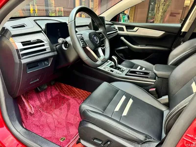 2020 BYD Qin Pro Surpass Edition 1.5TI Automatic Flagship, фото 4, лот 11172206