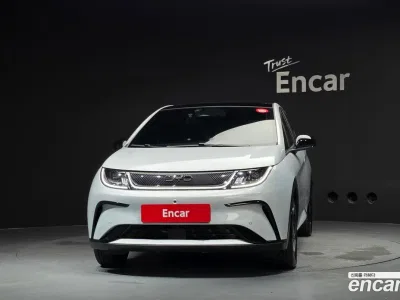 2026 BYD Dolphin Base, фото 3, лот 10219644