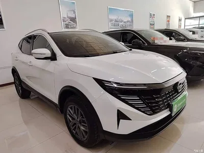 2025 Nissan Qashqai Honor 2.0L CVT XV Sincere Edition, фото 4, лот 10895412
