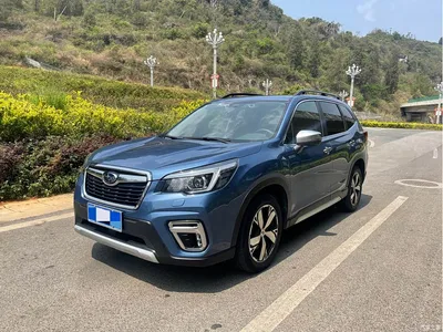 2019 Subaru Forester 2.0i Smart Hybrid Flagship EyeSight, фото 1, лот 10445670