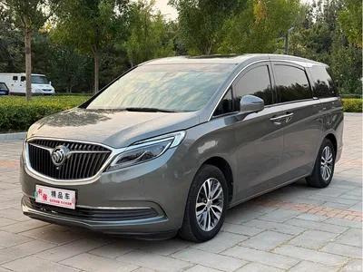 2017 Buick GL8 ES 28T Luxury China V, фото 1, лот 10771383