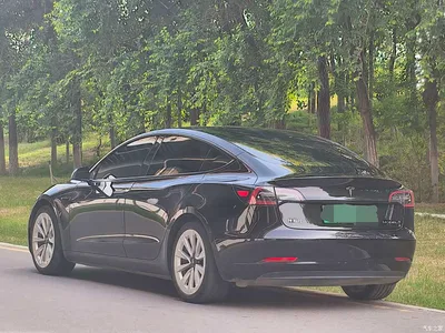 2020 Tesla Model 3 Facelift Standard Range RWD Upgrade, фото 4, лот 10366506