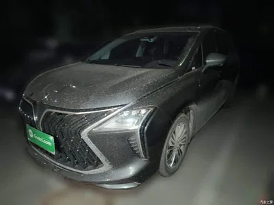 2024 Dongfeng Fengxing Yacht 1.5T DCT Ocean View Edition, фото 1, лот 11146475