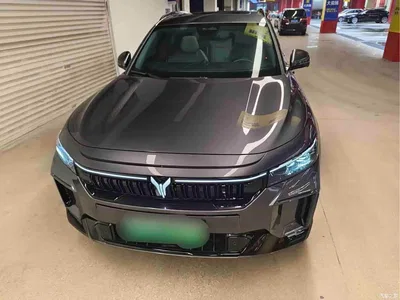 2025 Voyah Auto VOYAH FREE 318 259km 4WD Explorer Edition, фото 2, лот 11140971