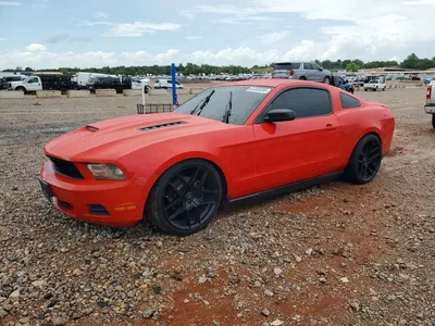 2011 FORD MUSTANG, фото 1, лот 10547643