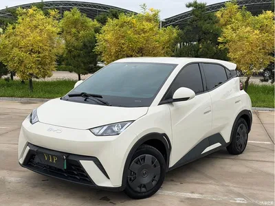 2024 BYD Seagull Glory Edition 305km Vitality Edition, фото 1, лот 10250224