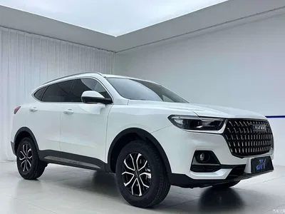 2023 Haval H6 National Trend Edition 1.5T Automatic Urban, фото 3, лот 11249782