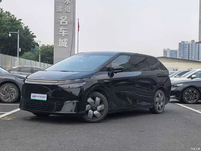 2024 XPeng X9 702 Long Range Pro, фото 1, лот 10966013