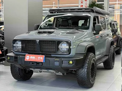 2021 Tank 300 Off-road Version 2.0T Conqueror, фото 1, лот 10632902
