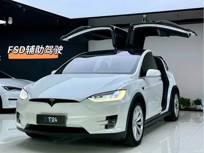 2019 Tesla Model X Long Range Version, фото 1, лот 10355568
