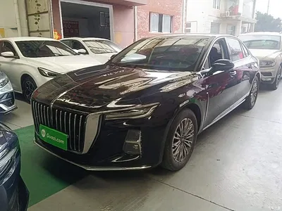 2024 Hongqi H5 1.5T DCT Smart Connect Flag Rhythm Edition, фото 1, лот 11449154