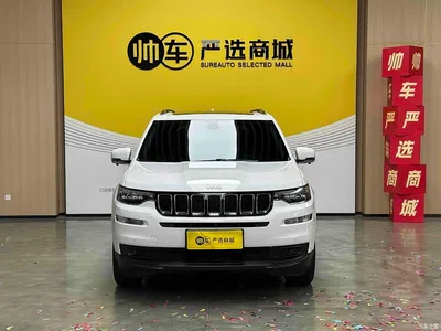 2020 Jeep Grand Commander 2.0T 2WD Leading Edition, фото 3, лот 10394943