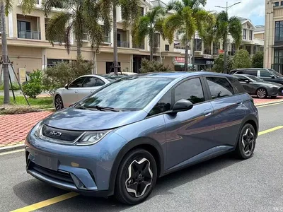 2024 BYD Dolphin Glory Edition 420km Fashion Edition, фото 1, лот 11507215