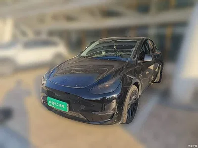 2021 Tesla Model Y Standard Range Rear-Wheel Drive, фото 1, лот 11578945