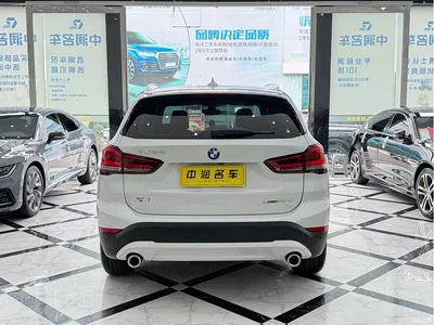 2021 BMW X1 Facelift sDrive25Li Leading, фото 4, лот 11191255