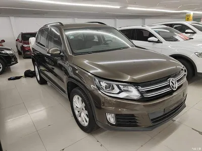 2016 Volkswagen Tiguan 280TSI Automatic 2WD Silk Road Fashion Edition, фото 4, лот 10478348