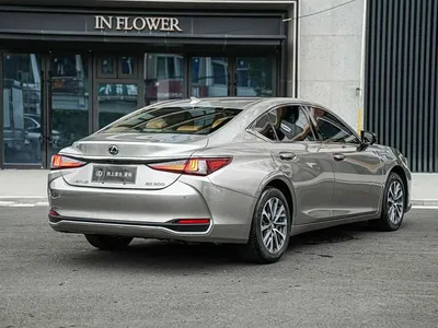 2021 Lexus ES 200 Excellence Edition, фото 4, лот 11451426