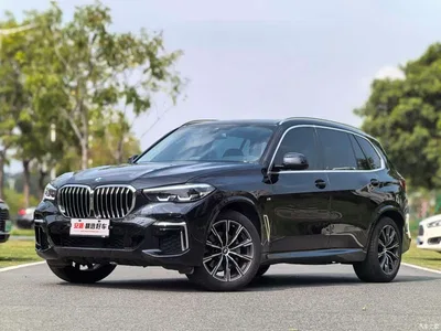 2022 BMW X5 Facelift xDrive 30Li M Sport Package, фото 1, лот 10239000