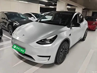 2022 Tesla Model Y Rear-Wheel Drive Version, фото 1, лот 10390555