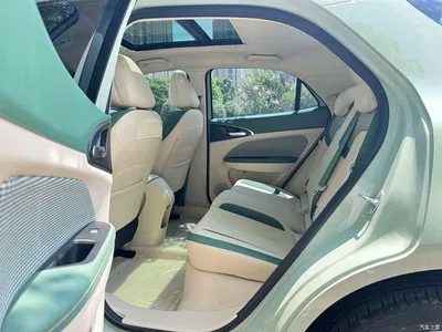 2023 Ora Good Cat 401km Standard Range Honor Edition (LFP), фото 4, лот 10331638