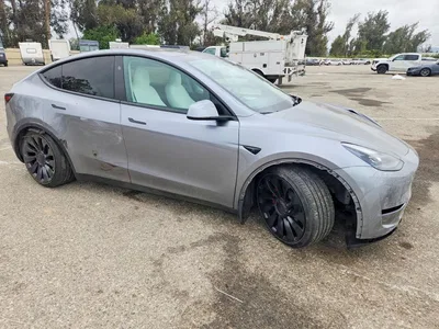 2024 TESLA MODEL Y, фото 4, лот 10680764