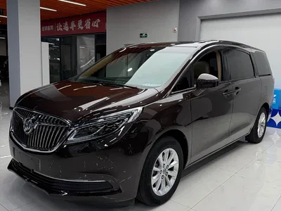 2018 Buick GL8 ES 28T Premium Type China VI, фото 2, лот 10252608