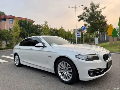 2014 BMW 5 Series 525Li Luxury Design Package, фото 4, лот 10812673