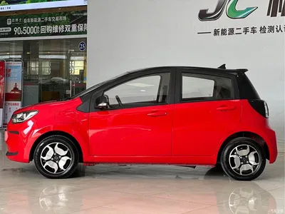2021 Sehol Flower Fairy 302km Luxury Edition 31.4kWh, фото 2, лот 11153499