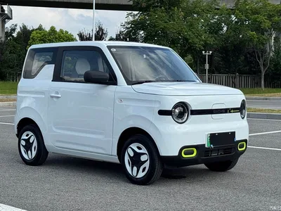 2025 Geely Galaxy Panda mini 210km Vitality Bear, фото 3, лот 10383319