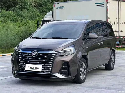 2023 Buick GL8 Land Business Class 652T Luxury, фото 1, лот 10246193