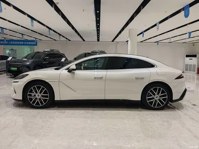 2024 Denza Z9 Model 1100km AWD Max Edition, фото 3, лот 10346228