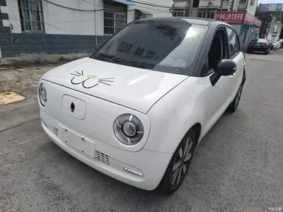 2021 Ora Black Cat 351km Standard Model, фото 2, лот 10447913