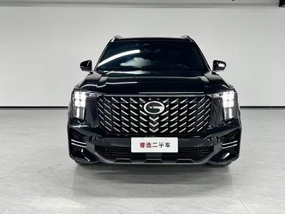 2024 GAC Trumpchi Trumpchi GS8 Navigator Series 2.0TGDI 4WD Luxury Smart Connect Edition, фото 2, лот 10894677