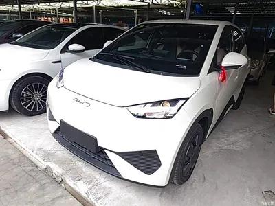 2025 BYD Seagull Smart Drive Edition 305km Vitality Version, фото 2, лот 10262865