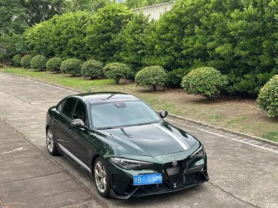 2020 Alfa Romeo Giulia 2.0T 280HP Luxury Edition, фото 1, лот 10240309