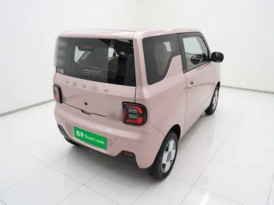 2023 Geely Galaxy Panda Mini 200km Endurance Bear, фото 4, лот 11242801