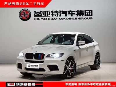 2010 BMW X6 M, фото 1, лот 10432110
