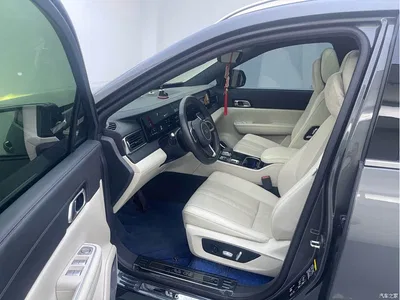 2020 Li Auto Li ONE Extended Range 6-seater, фото 4, лот 10824425