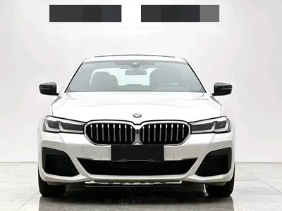 2021 BMW 5 Series 530Li Premium M Sport Package, фото 2, лот 11113876