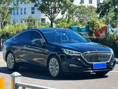 2022 Hongqi H5 Classic 1.8T Auto Smart Connect Flagship Comfort Edition, фото 3, лот 10289133