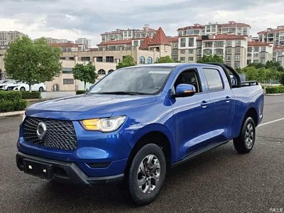 2021 Great Wall Pao 2.0T Commercial Edition Manual Diesel 2WD Elite Long Box GW4D20M, фото 2, лот 10248891