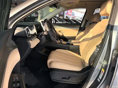 2025 BYD Song Pro New Energy 2nd Gen DM-i 115KM Surpassing Type, фото 3, лот 10434891