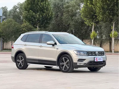 2019 Volkswagen Tiguan L 330TSI Automatic 2WD Panorama Comfort Edition China VI, фото 3, лот 10461992