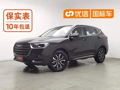 2021 Haval H6 National Trend Edition 1.5T Automatic Urban Edition, фото 1, лот 10955720