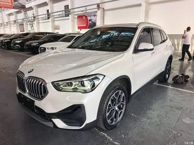 2020 BMW X1 sDrive25Li Leading Model, фото 2, лот 10467195