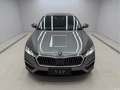 2022 Škoda Octavia PRO TSI280 Luxury Edition, фото 2, лот 11141406