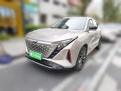 2022 Oshan Z6 Blue Whale 1.5T DCT Intelligent Leader, фото 1, лот 11468581