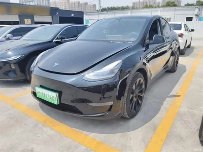2021 Tesla Model Y Standard Range Rear-Wheel Drive, фото 1, лот 10374361